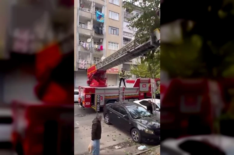 Ağaçta mahsur kalan kediyi kurtarmak için seferber oldular