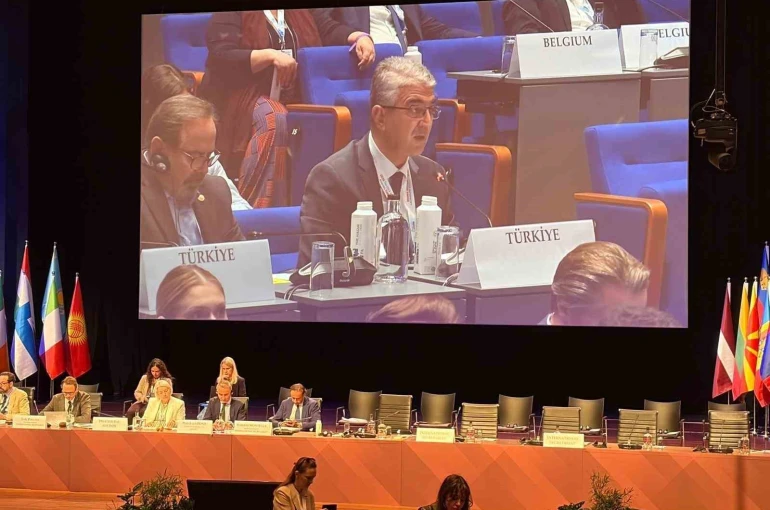 AGİT’te Türkiye rüzgarı: MHP’li Aydın’dan gençleri dijital tehditlerden koruyacak tarihi tasarı