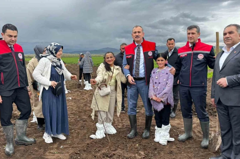 Ağrı’da 2 bin 500 çiftçiye 50 bin meyve fidanı dağıtıldı
