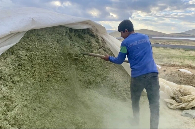 Ağrı’da besiciler kış hazırlıklarına başladı