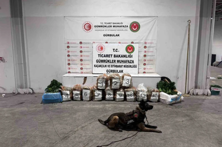 Ağrı’da Gürbulak Sınır Kapısı’nda 51 kilo 520 gram esrar ele geçirildi