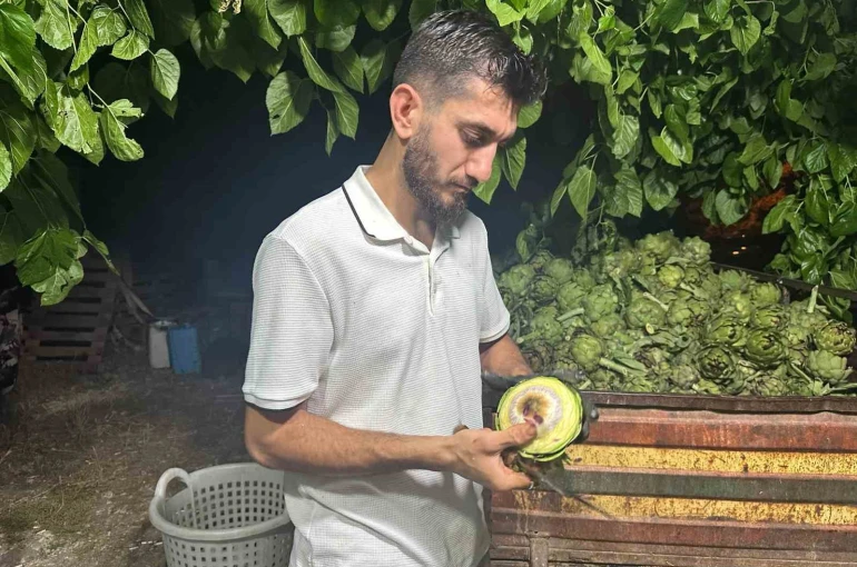 Ailecek enginar soyucular: Soyması 10 saniye sürüyor