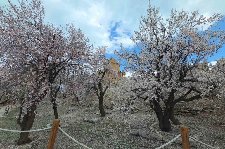 Akdamar Adası’nda renk cümbüşü