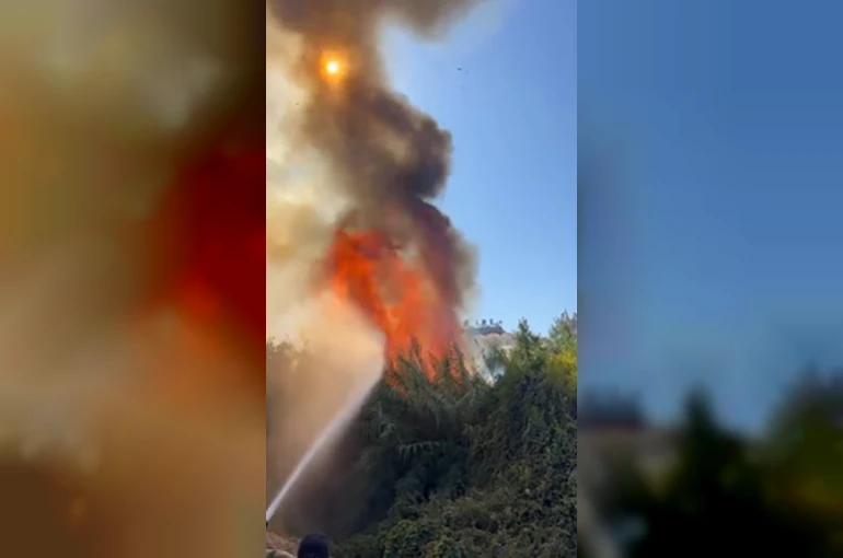 Alanya’da çalılık alanda çıkan yangında 2 sera ve 2 dönüm arazi zarar gördü