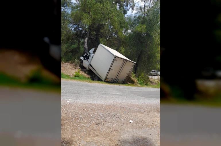 Alanya’da kamyonet ağaca çarptı: 1 ölü, 1 ağır yaralı