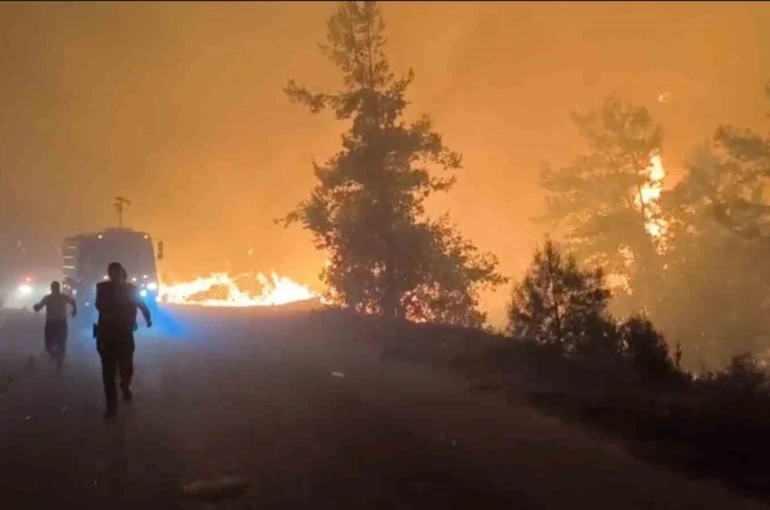 Alanya’da orman yangını