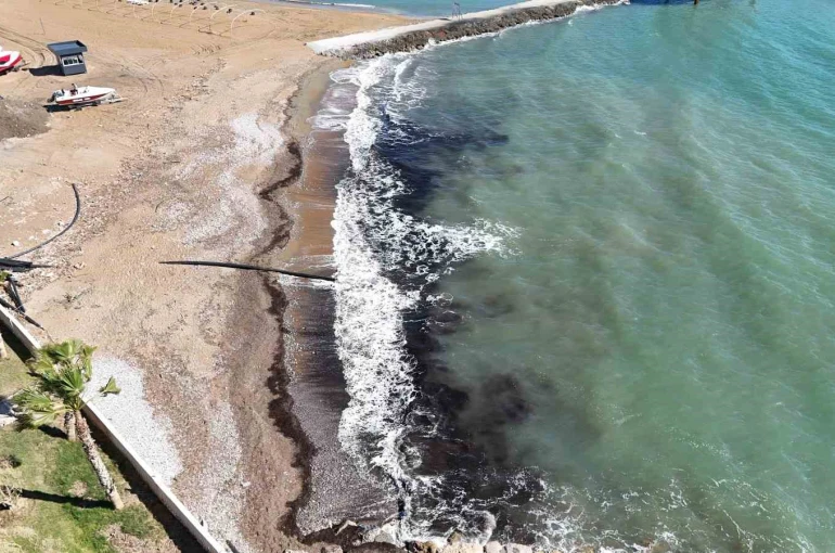 Alanya’da sahildeki siyah tabaka önce tedirgin etti, gerçek sonradan ortaya çıktı