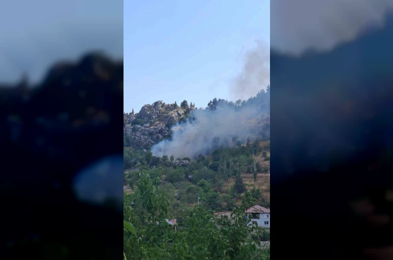 Alanya’da zirai alanda çıkan yangın söndürüldü