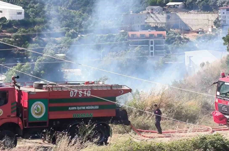 Alanya’da zirai alanda çıkan yangında 1 dönüm zarar gördü