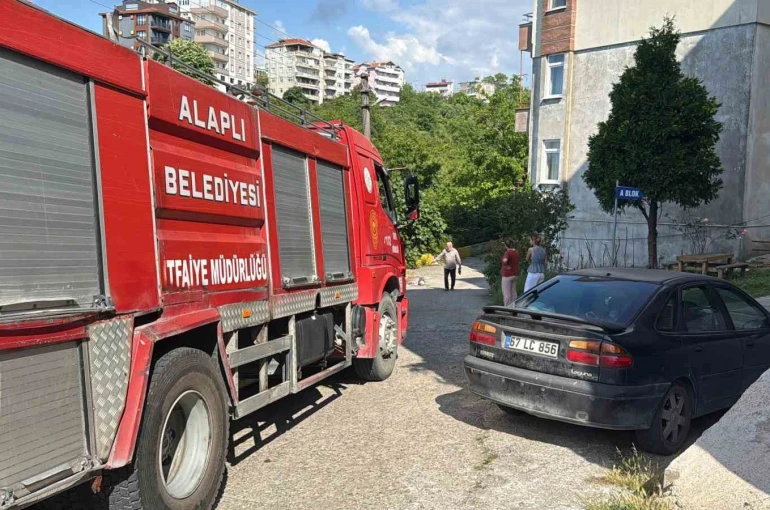 Alaplı’da alev topuna dönen piknik tüpü korkuttu