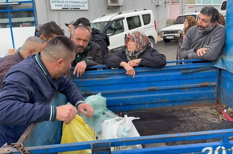 Alaplı’da kuraklık ve gal arısı istilası ünlü kuzu kestanesini de vurdu