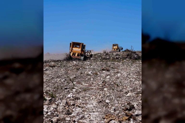 Aliağa ve Foça’daki yanan orman alanlarında ağaçlandırma çalışmaları sürüyor