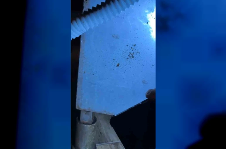 Alışveriş merkezindeki restoranlarda mide bulandıran görüntüler