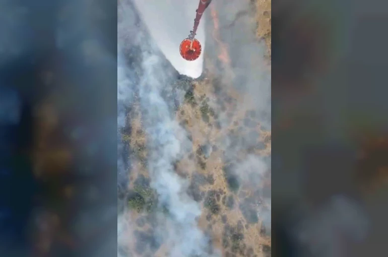 Altıeylül ve Sındırgı’da orman yangını başladı