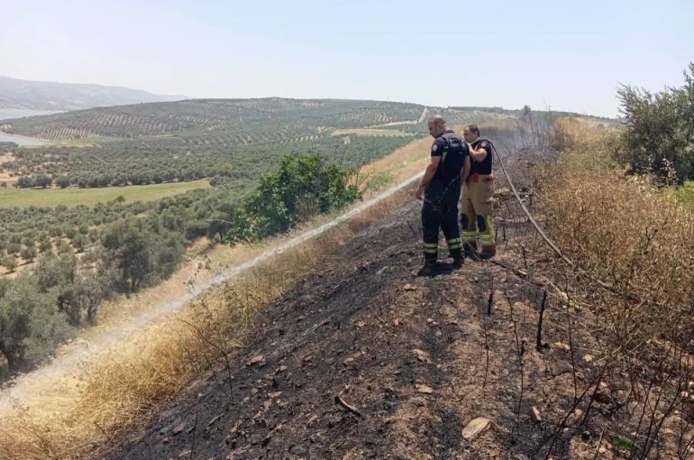 Altınözü’de anız yangını 