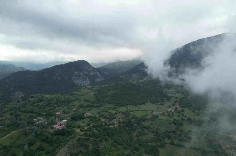 Amasya’da ormanlık alanlara girişler yasaklandı