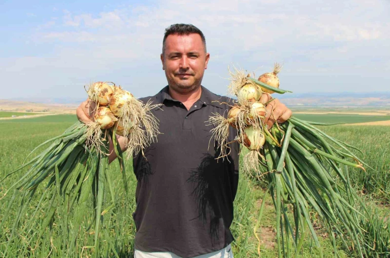 Amasya’da soğan bir bardak çaydan bile ucuz