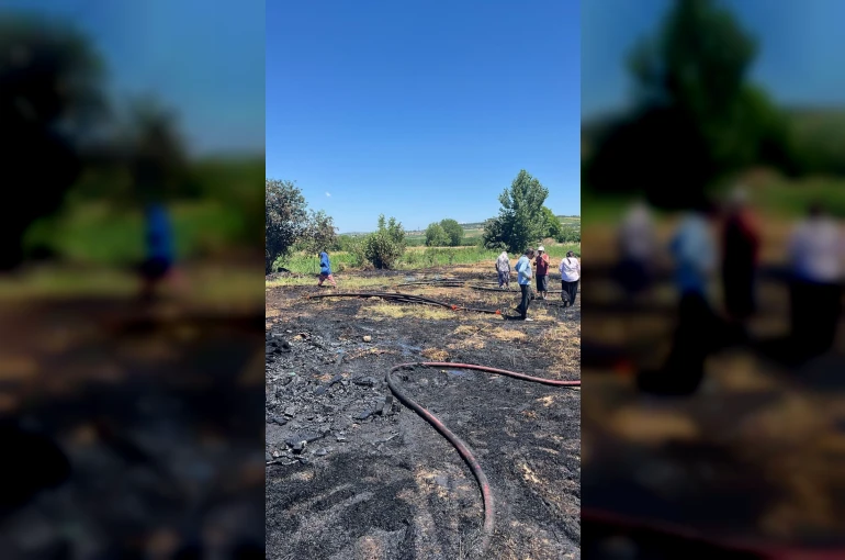 Anız alevi 20 dönümü küle çevirdi
