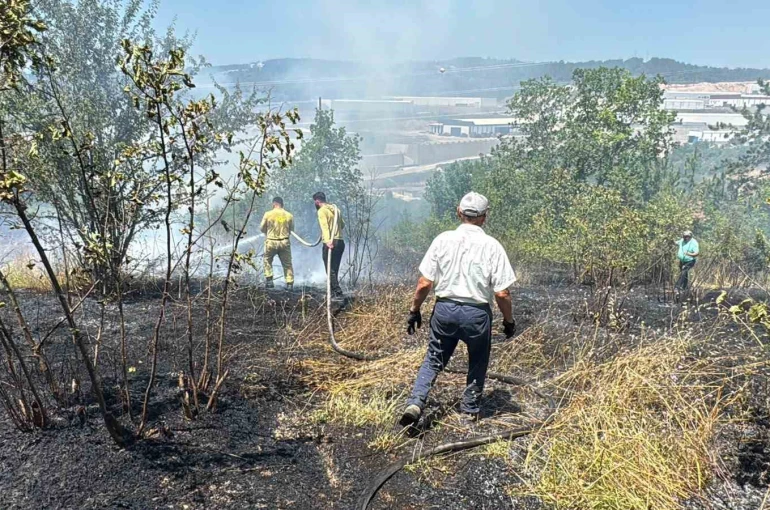 Anız yangını kontrolden çıkıp ormana sıçradı