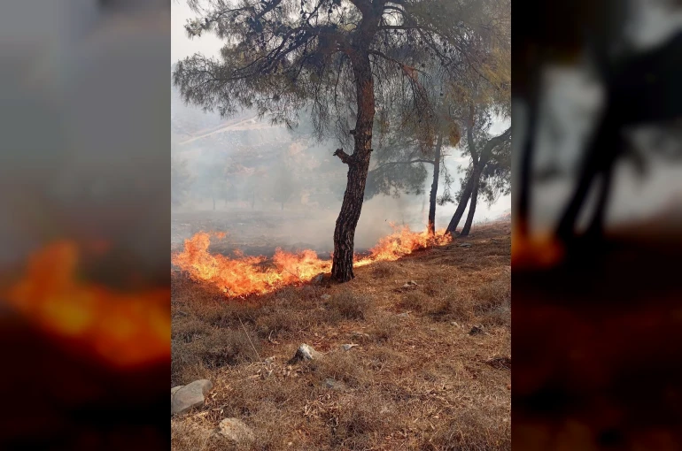Antakya’da orman yangını