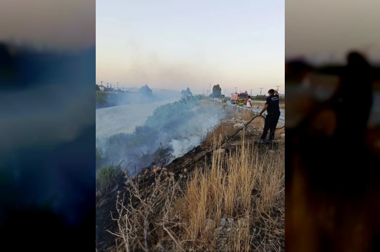 Antakya’da Asi Nehri kenarında sazlık yangını