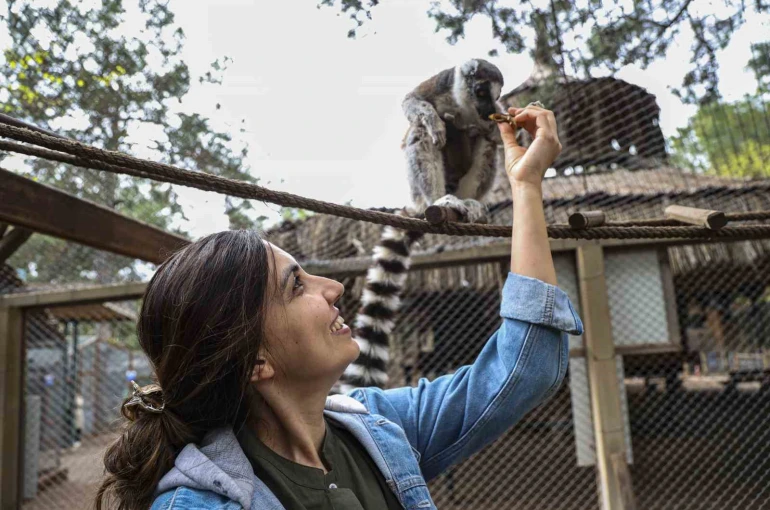 Antalya Doğal Yaşam Parkı’nda yavru lemur sevinci