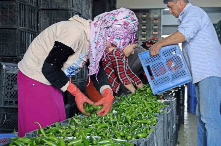 Antalya Ticaret Borsası Ekim ayı hal endeksi açıklandı