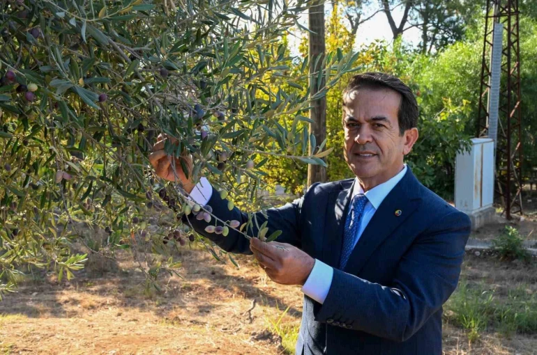 Antalya zeytinyağını markalaştıracak 30 öneri
