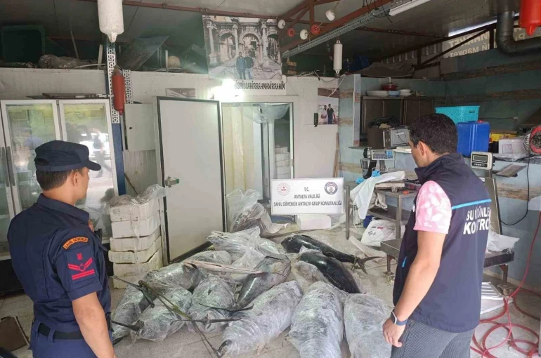 Antalya’da avlanması ve satışı yasak olan 603 kilogram balığa el konuldu