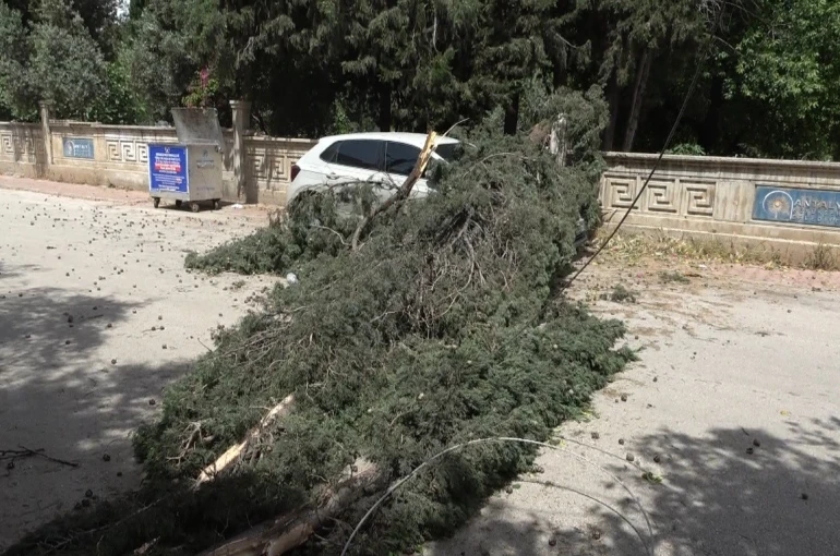 Antalya’da mezarlıktaki ağaç devrildi, park halindeki araç zarar gördü