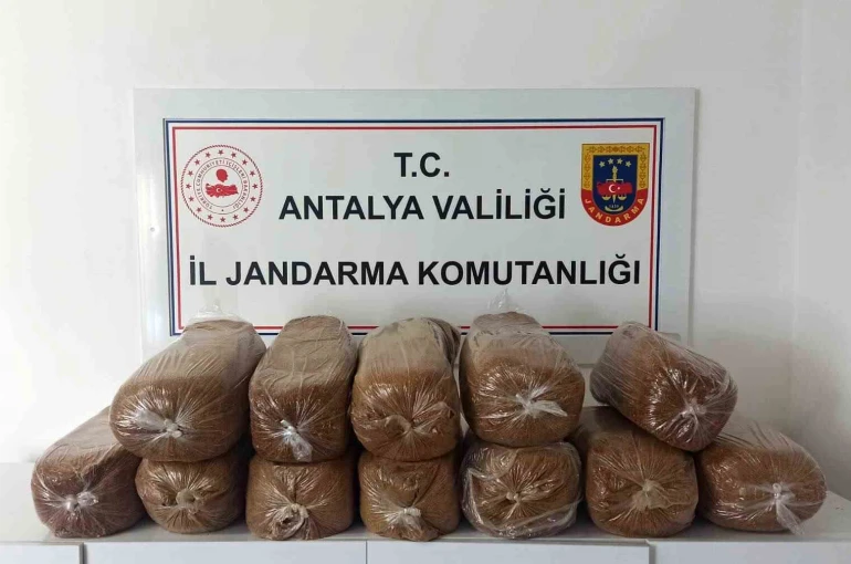 Antalya’da üç ilçede kaçak tütün operasyonu: 785 kilogram tütün ele geçirildi