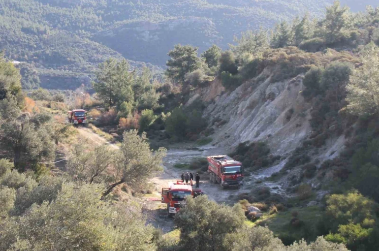 Antalya’daki orman yangınında zararın boyutu gündüz ortaya çıktı: 2 hektar zarar gördü