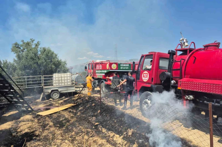 Antik kente yakın zeytinlik alanda yangında 1,25 dönüm zarar gördü