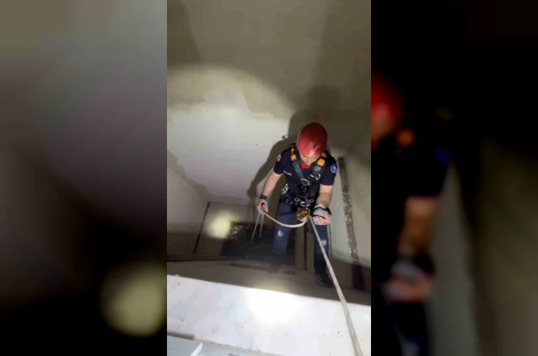 Apartman boşluğuna düşen yavru martı ekiplerce kurtarıldı 