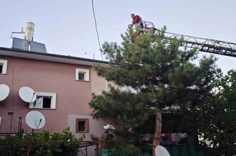 Apartman çatısında mahsur kalan kedi itfaiye ekiplerince kurtarıldı