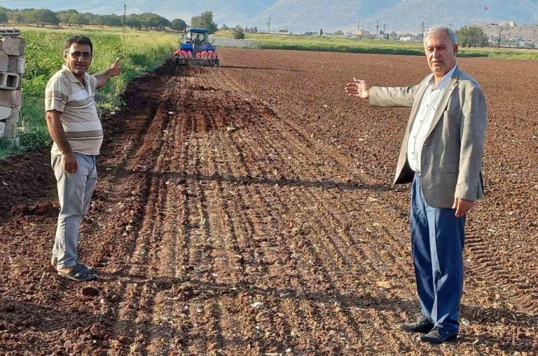 Araban Ovası’nda tecilli Araban sarımsağı ekimine başladı