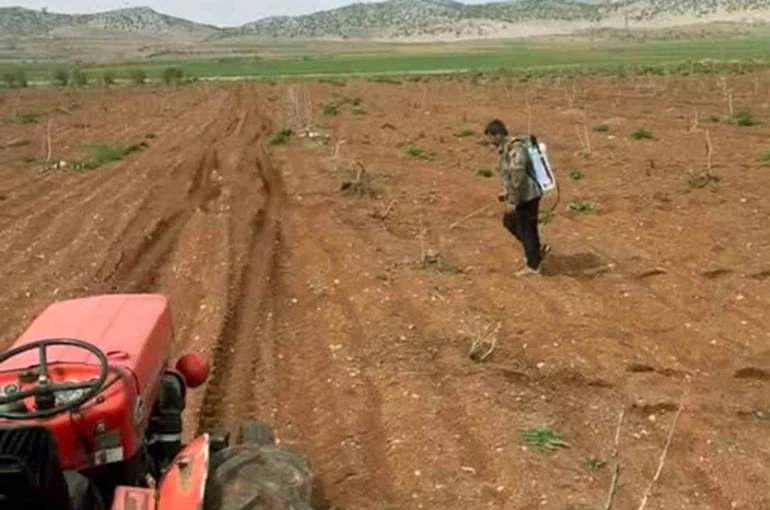Araban’da Antep fıstığı tarlalarında yabancı otlarla ilaçlı mücadele