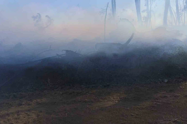 Araç yangını ormanlık alana sıçradı, ekipler alevleri büyümeden söndürdü