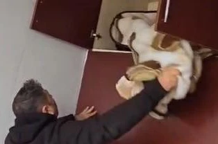 Aranan şahsın yakalandığı yeri görenler şok oldu