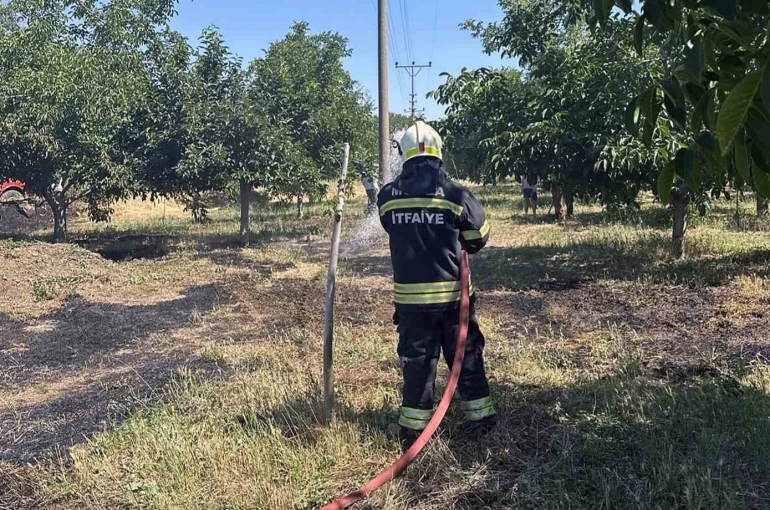 Arazi yangınları büyümeden söndürüldü