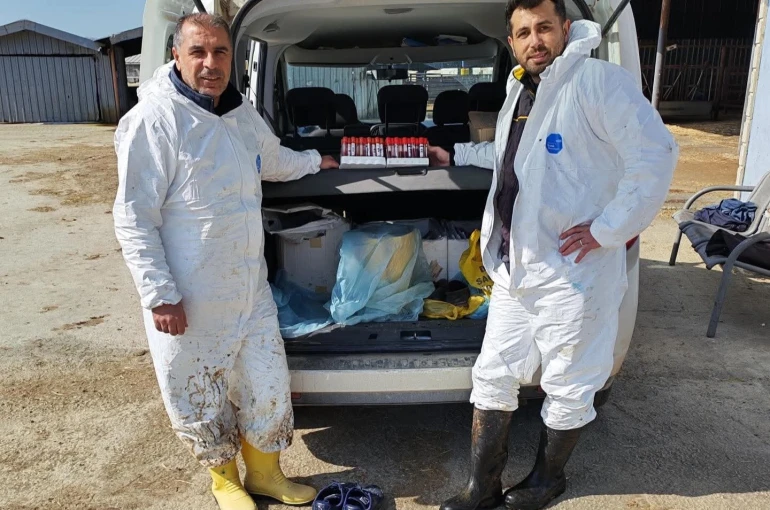 Ari işletmede tüberküloz ve brusella testi yapıldı
