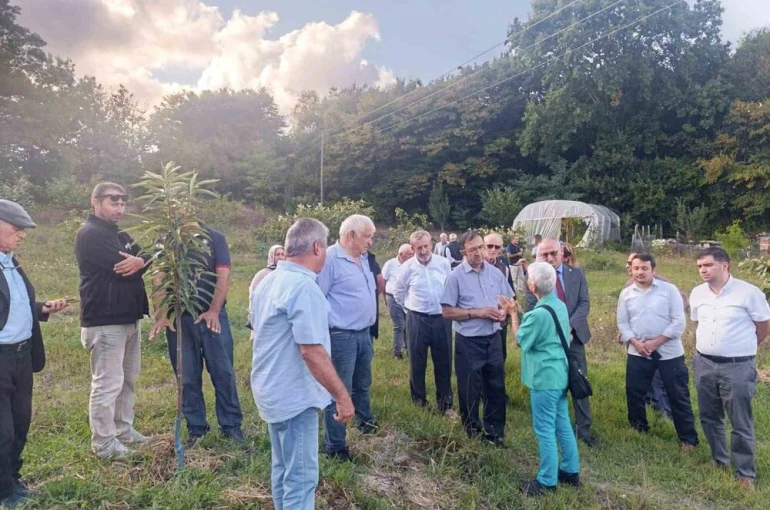 Arıcılar ve akademisyenler kestane balının geleceğini konuştu