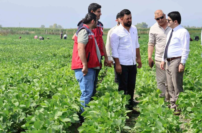 Arsuz’da soya ekimi yapıldı