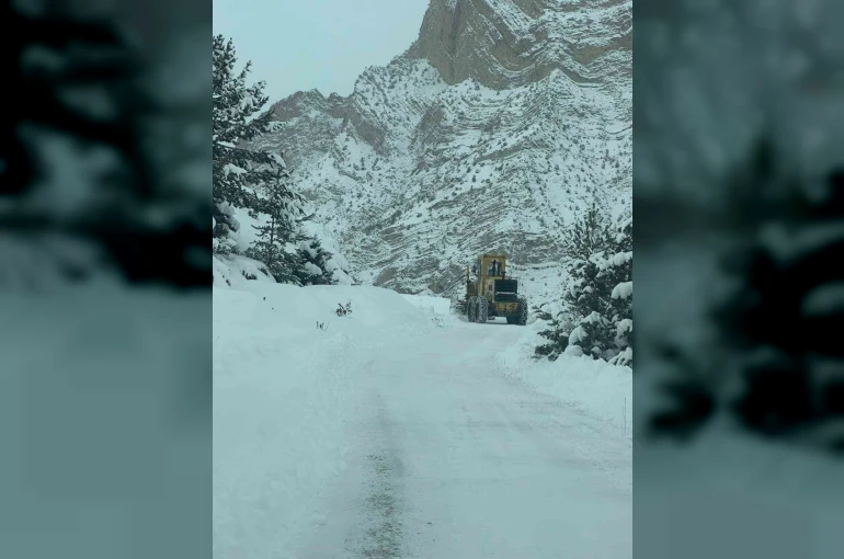 Artvin’de 6 ilçede 43 köy yolunda kar nedeniyle ulaşım sağlanamıyor