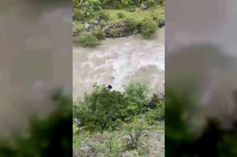 Artvin’de bir otomobil Çoruh Nehri’ne düştü; baba ile oğlu aranıyor