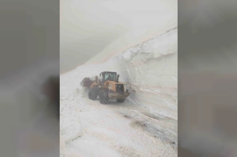 Artvin’de haziran ayında kar mesaisi