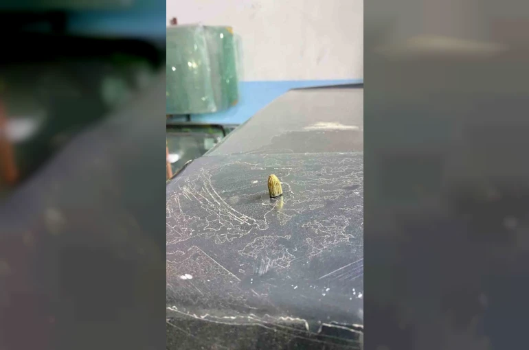 Artvin’de maganda kurşunu park halindeki araca ve iş yerine isabet etti
