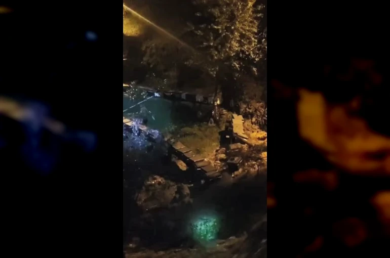 Artvin’in Borçka ilçesinde arı kovanları gece sel suları ve heyelana kapıldı 