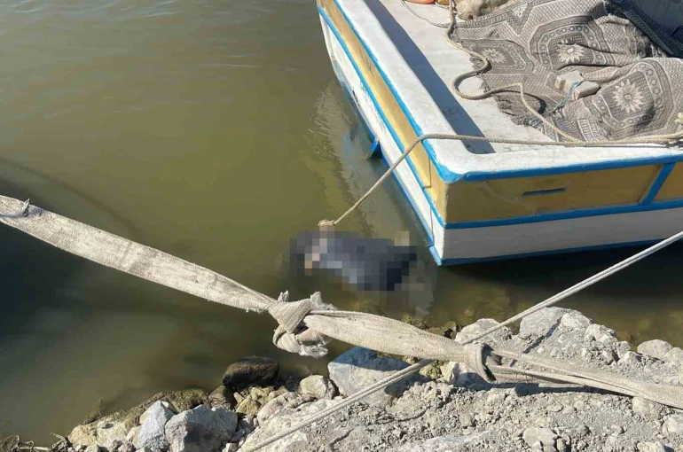 Asi Nehri’nde erkek cesedi bulundu