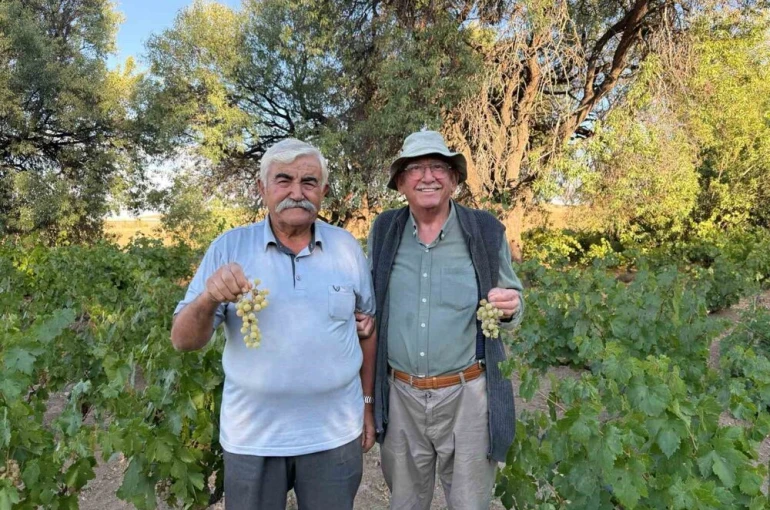 Ata tohumundan elde edilen üzümleri lezzetiyle dikkat çekiyor
